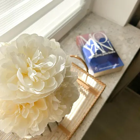 Biszkoptowy Apartment