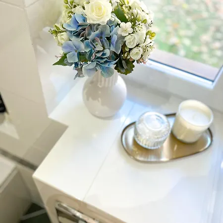 Biszkoptowy * Гливице