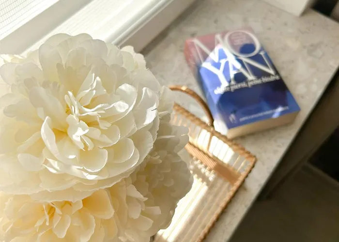 Biszkoptowy Apartamento