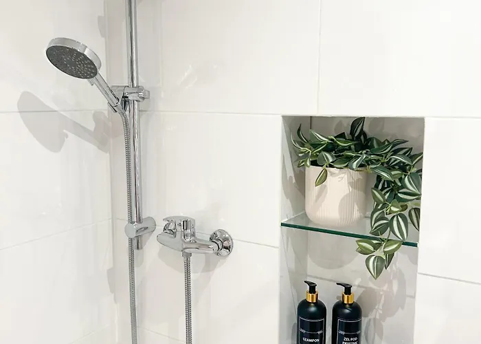 Apartamento Biszkoptowy *